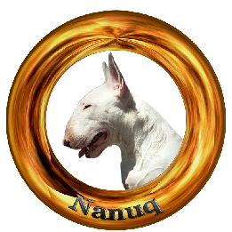 nanuq